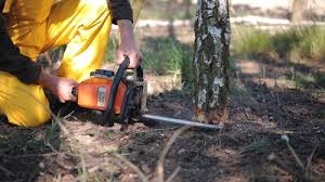  Irmo, SC Tree Services Pros